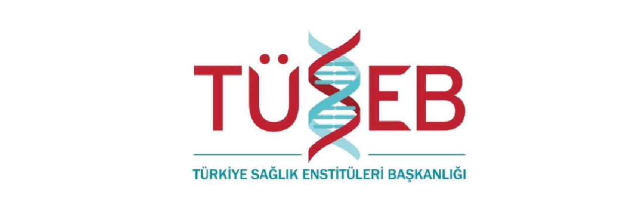 DEİK – Dış Ekonomik İlişkiler Kurulu